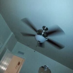 Meet your Posher, Darius